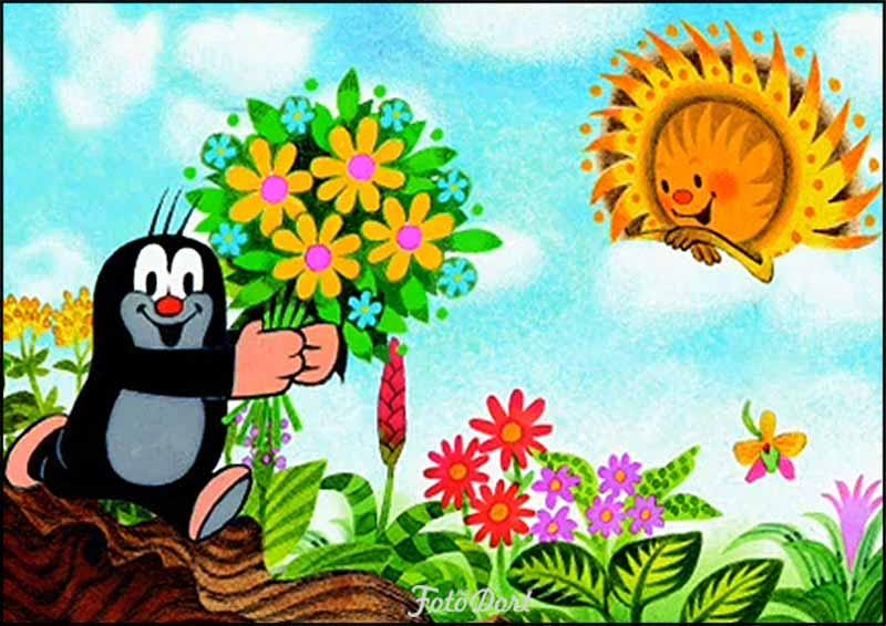Ilustrační foto - 0